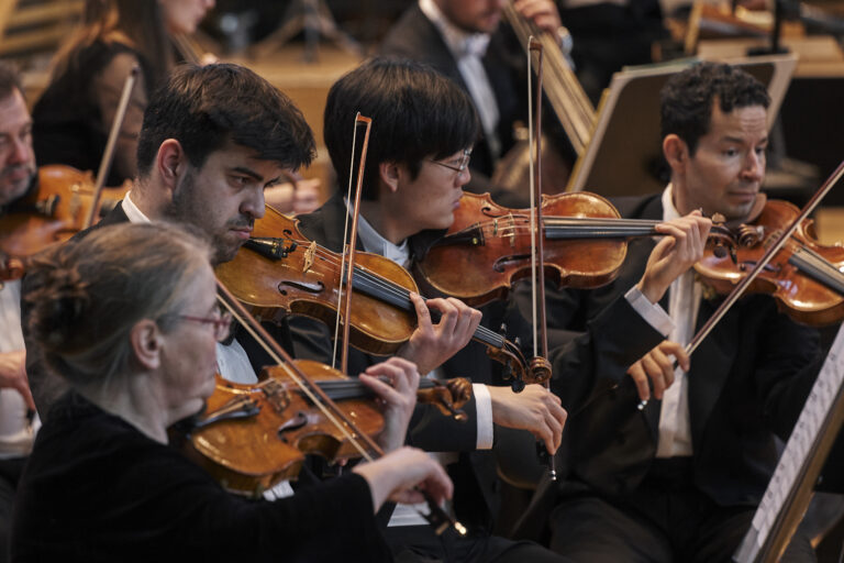 Neujahrskonzert Becker-Strelitz-Reisen